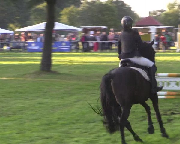 Reitturnier Petershagen-Eldagsen 2015