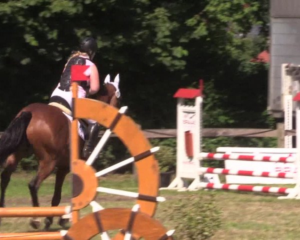 Reitturnier Petershagen-Eldagsen 2015