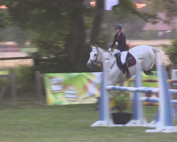 Reitturnier Petershagen-Eldagsen 2015