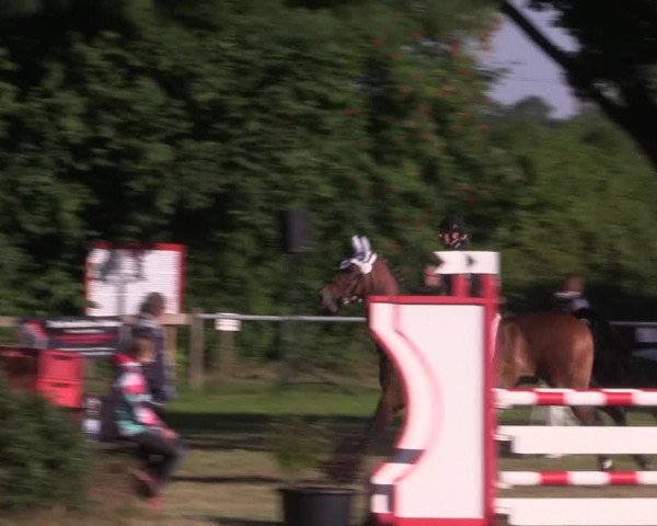 Reitturnier Petershagen-Eldagsen 2015