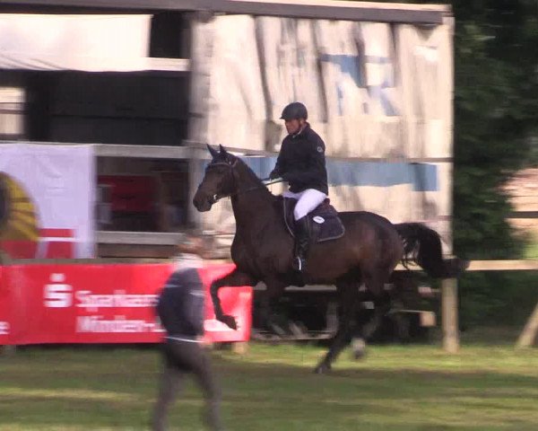 Reitturnier Petershagen-Eldagsen 2015