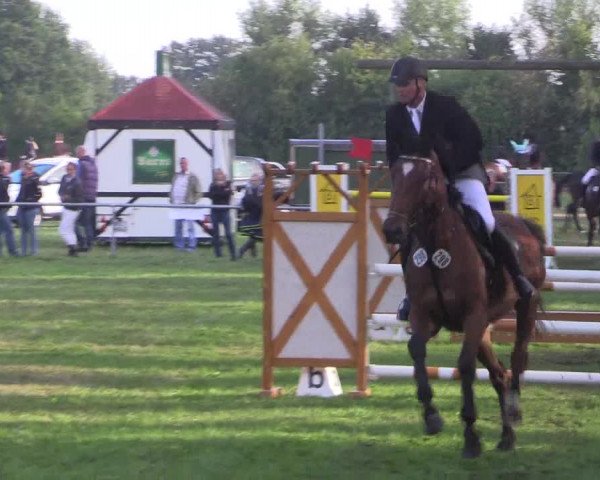 Reitturnier Petershagen-Eldagsen 2015