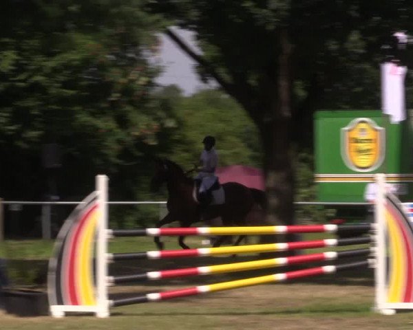 Reitturnier Petershagen-Eldagsen 2015