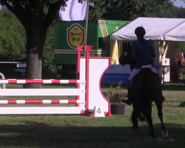 Reitturnier Petershagen-Eldagsen 2015