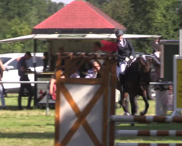 Reitturnier Petershagen-Eldagsen 2015