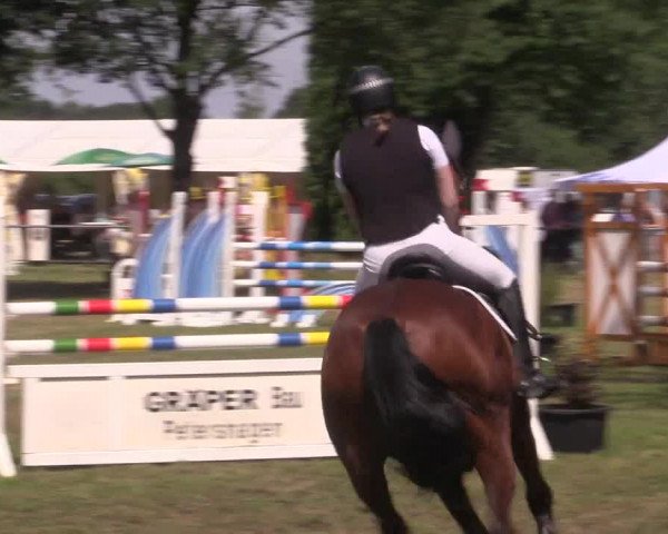 Reitturnier Petershagen-Eldagsen 2015