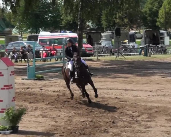 Reitturnier Neuss-Uedesheim 2015