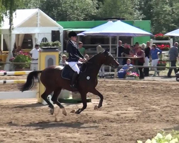 Reitturnier Neuss-Uedesheim 2015