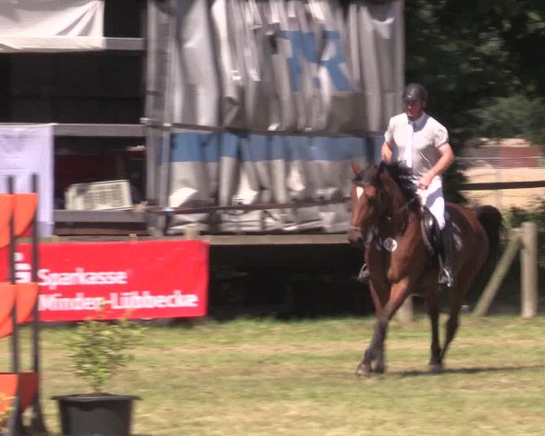 Reitturnier Petershagen-Eldagsen 2015