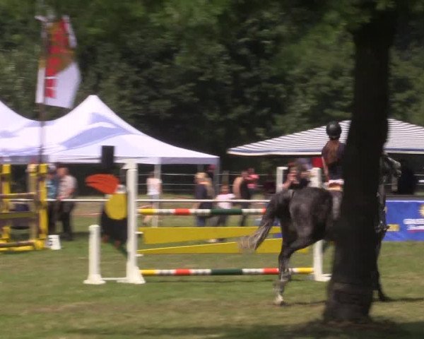Reitturnier Petershagen-Eldagsen 2015