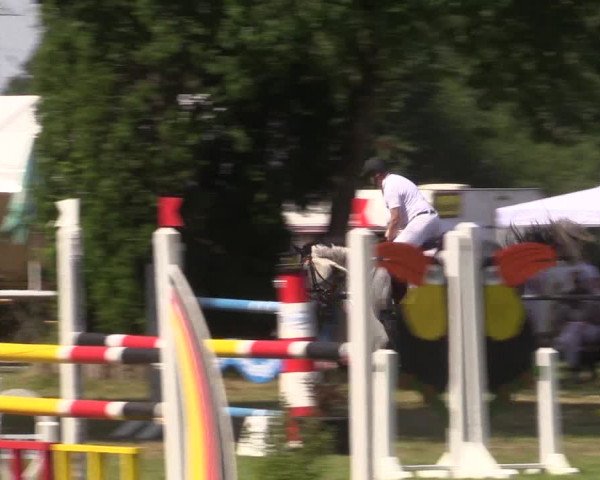 Reitturnier Petershagen-Eldagsen 2015