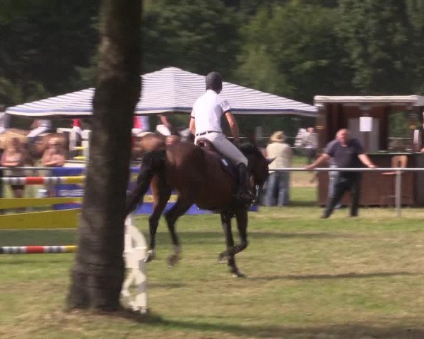 Reitturnier Petershagen-Eldagsen 2015