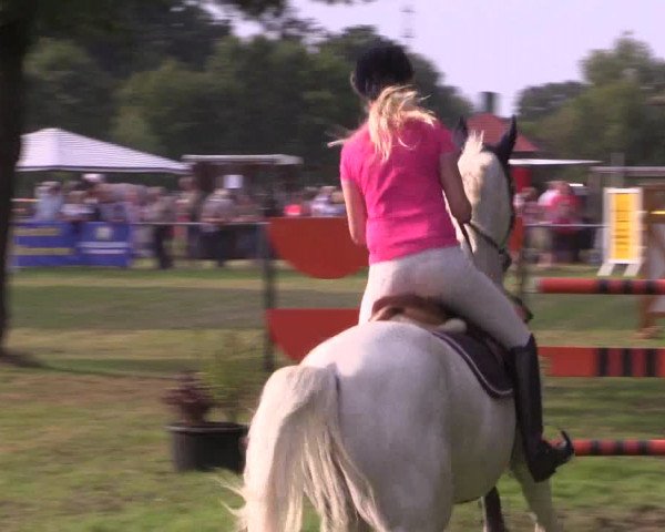 Reitturnier Petershagen-Eldagsen 2015