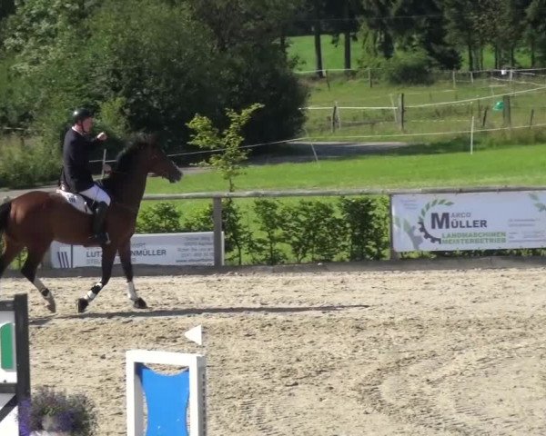 Reitturnier Monschau-Mützenich 2015