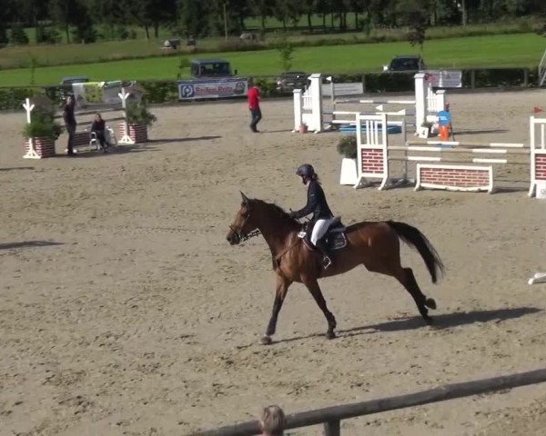 Reitturnier Monschau-Mützenich 2015