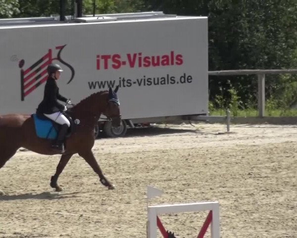 Reitturnier Monschau-Mützenich 2015