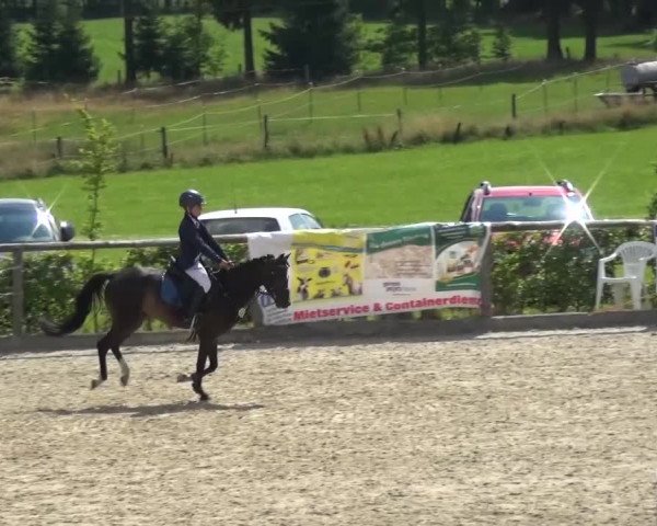 Reitturnier Monschau-Mützenich 2015