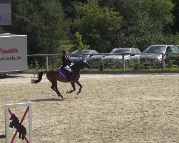 Reitturnier Monschau-Mützenich 2015
