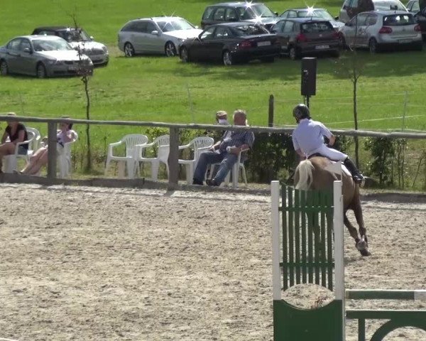 Reitturnier Monschau-Mützenich 2015