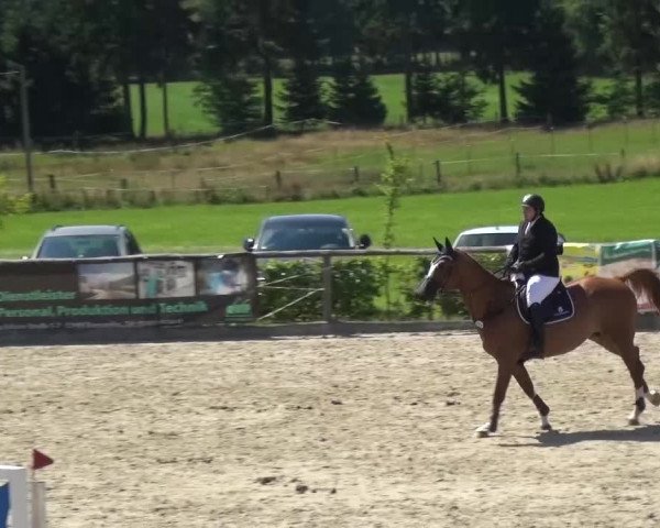 Reitturnier Monschau-Mützenich 2015