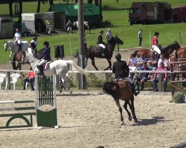 Reitturnier Monschau-Mützenich 2015