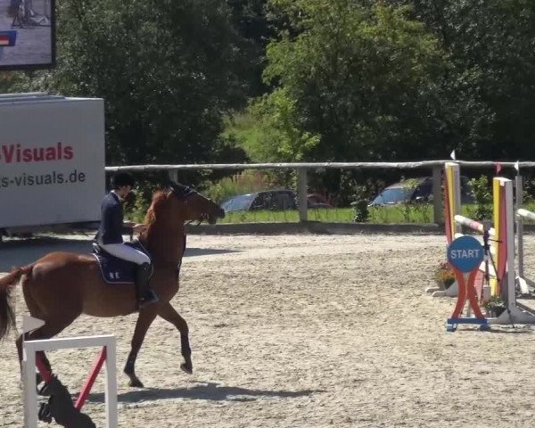 Reitturnier Monschau-Mützenich 2015