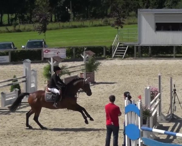 Reitturnier Monschau-Mützenich 2015