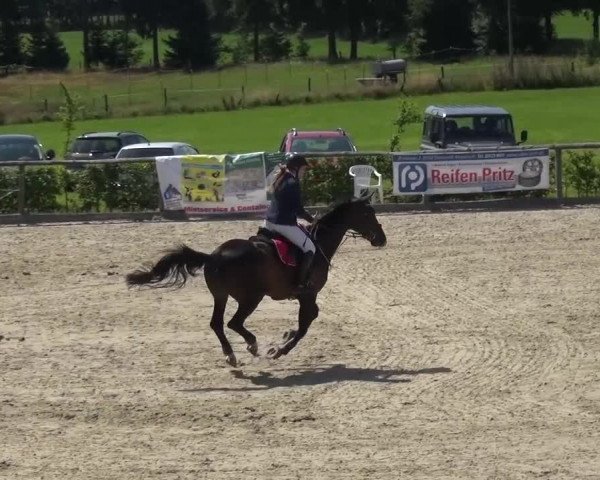 Reitturnier Monschau-Mützenich 2015