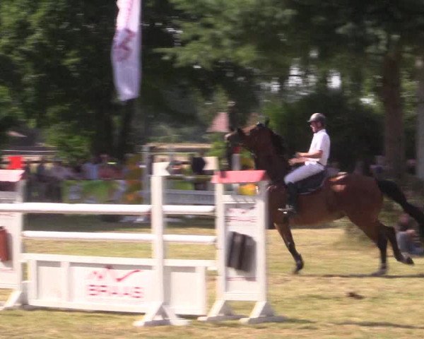 Reitturnier Petershagen-Eldagsen 2015