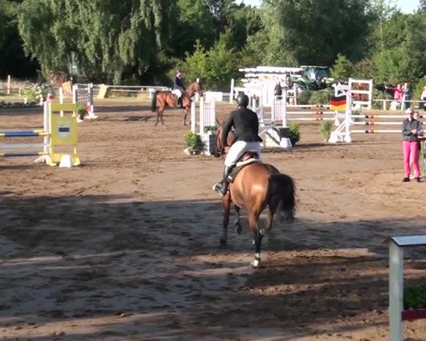 Reitturnier Neuss-Uedesheim 2015