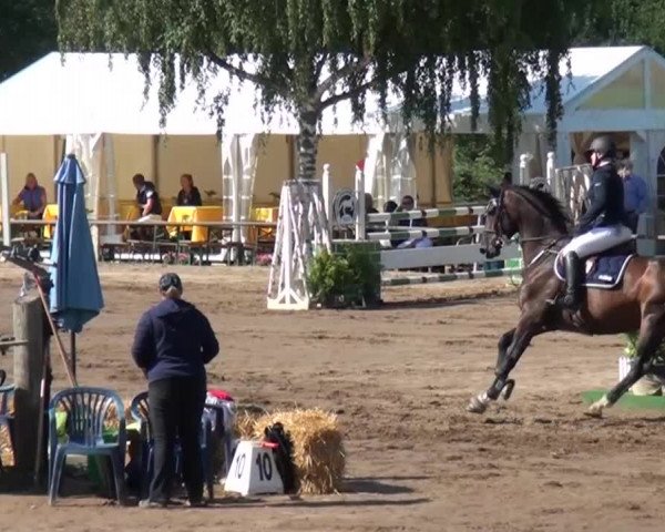 Reitturnier Neuss-Uedesheim 2015