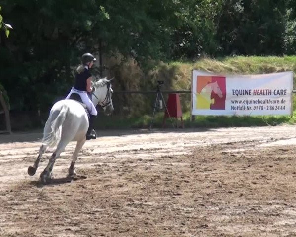 Reitturnier Neuss-Uedesheim 2015