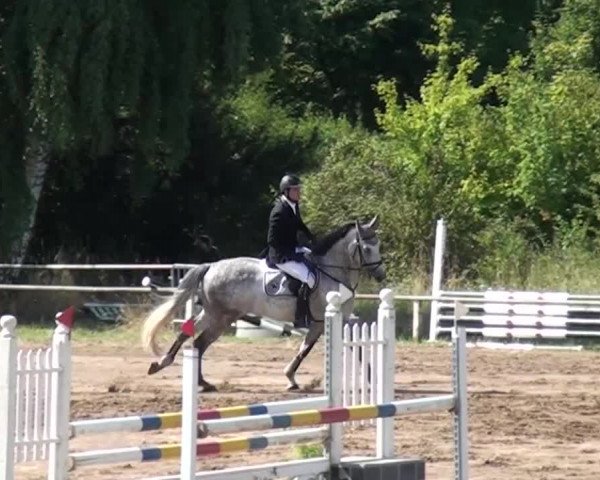 Reitturnier Neuss-Uedesheim 2015