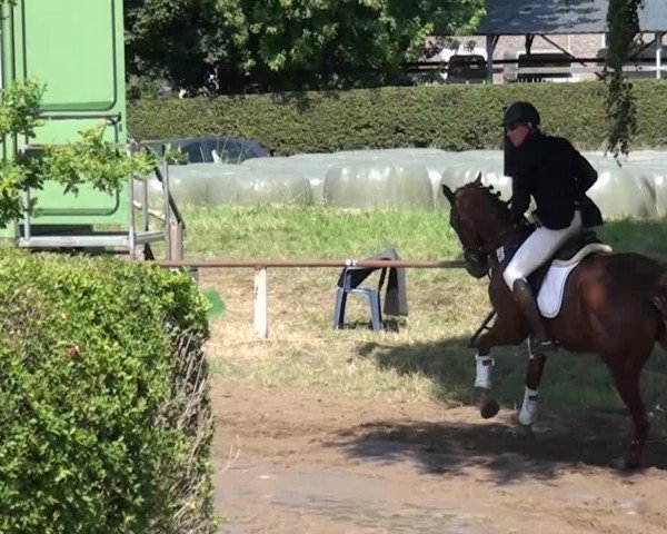 Reitturnier Neuss-Uedesheim 2015