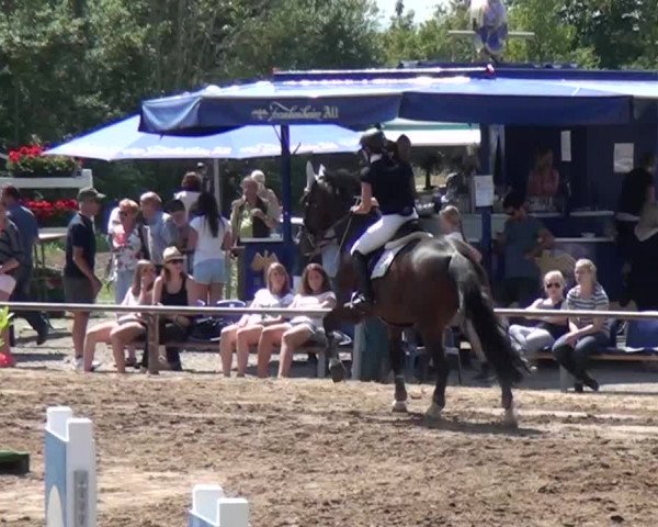 Reitturnier Neuss-Uedesheim 2015
