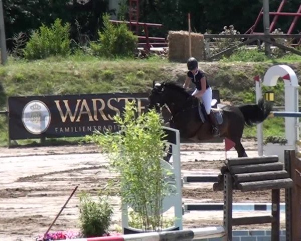 Reitturnier Neuss-Uedesheim 2015