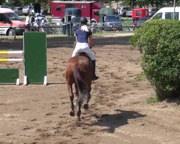 Reitturnier Neuss-Uedesheim 2015