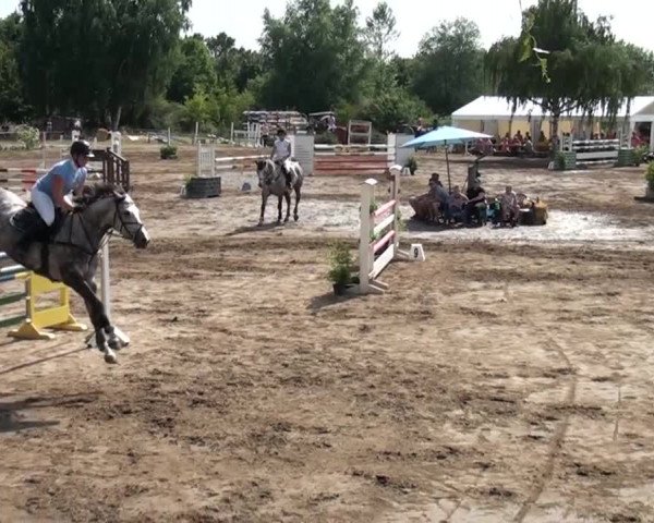 Reitturnier Neuss-Uedesheim 2015