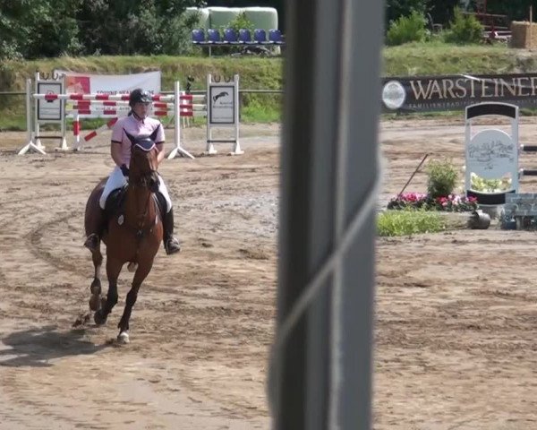 Reitturnier Neuss-Uedesheim 2015