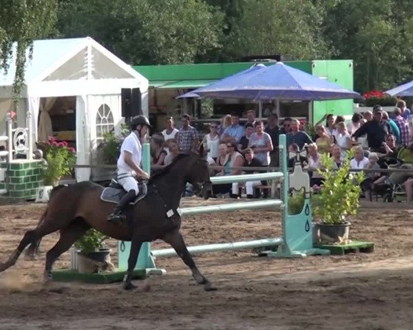 Reitturnier Neuss-Uedesheim 2015