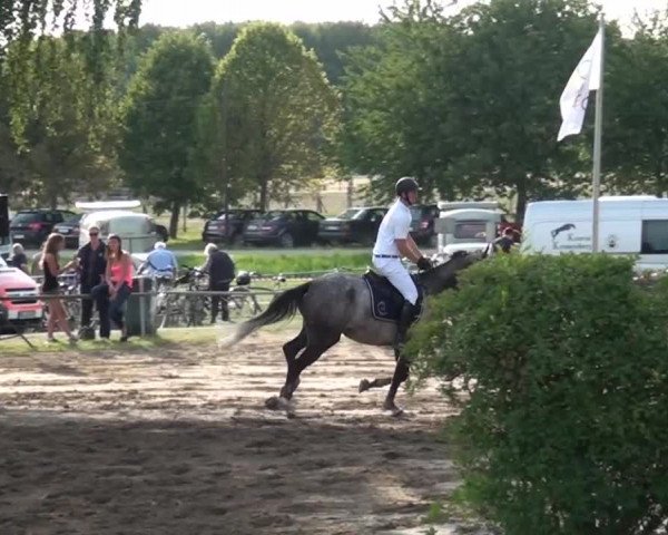 Reitturnier Neuss-Uedesheim 2015
