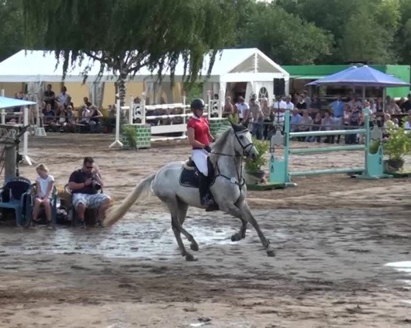 Reitturnier Neuss-Uedesheim 2015