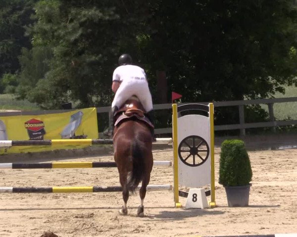 Reitturnier Kalenborn Hegehof 2015