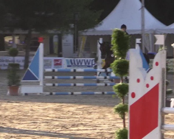 Waltroper Reitertage 2015