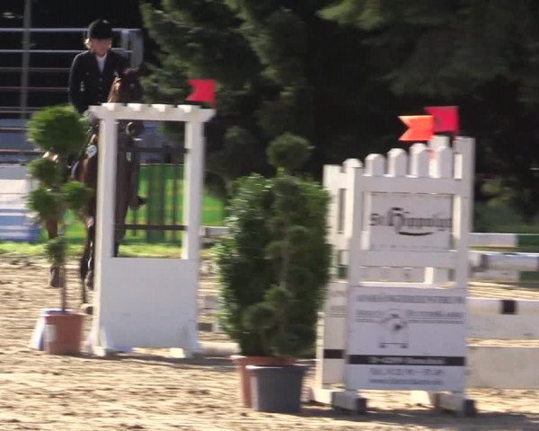 Waltroper Reitertage 2015