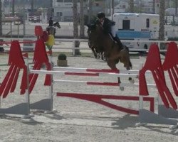jumper Hilton Up The Banner (Irish Sport Horse, 2012, from J'taime flamenco)