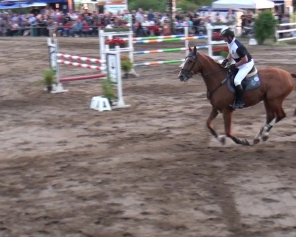 Reitturnier Neuss-Uedesheim 2015