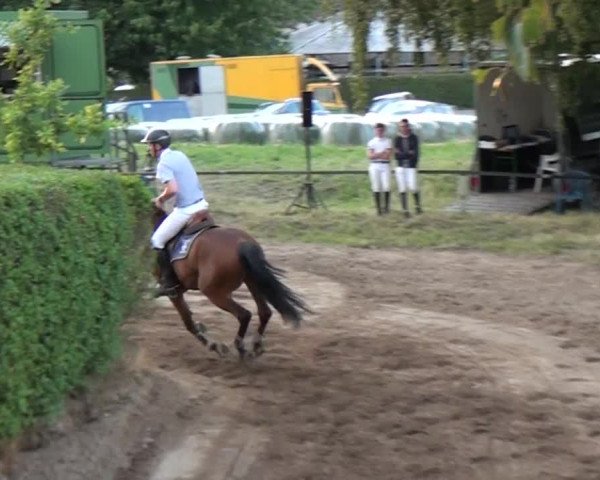 Reitturnier Neuss-Uedesheim 2015