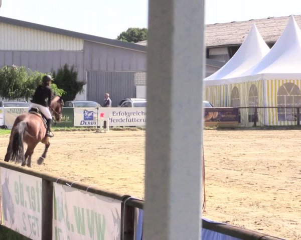 Waltroper Reitertage 2015