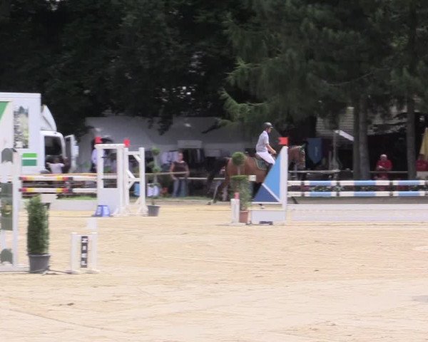 Waltroper Reitertage 2015